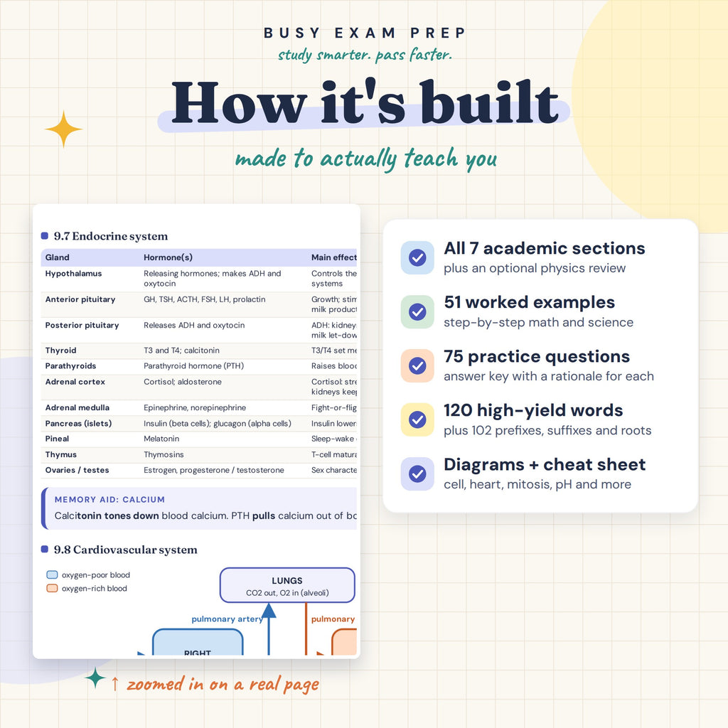HESI A2 guide features: seven academic sections, optional physics review, worked examples and practice questions.