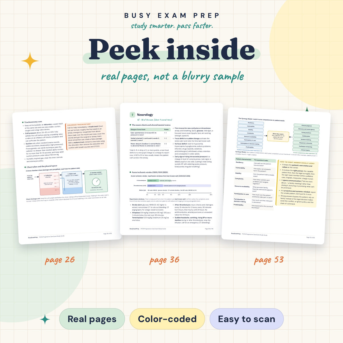 PCCN Exam Study Guide: actual page previews from the digital PDF. No physical book.