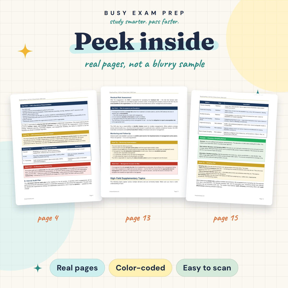 CIA Part 2 Study Guide actual PDF page previews.