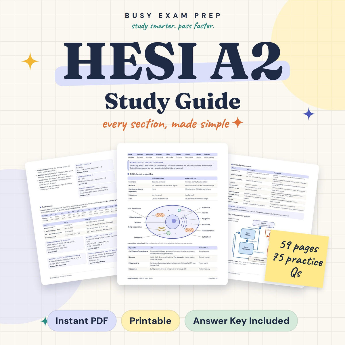 HESI A2 Study Guide. Digital PDF with 59 pages and 75 practice questions. No printed book.