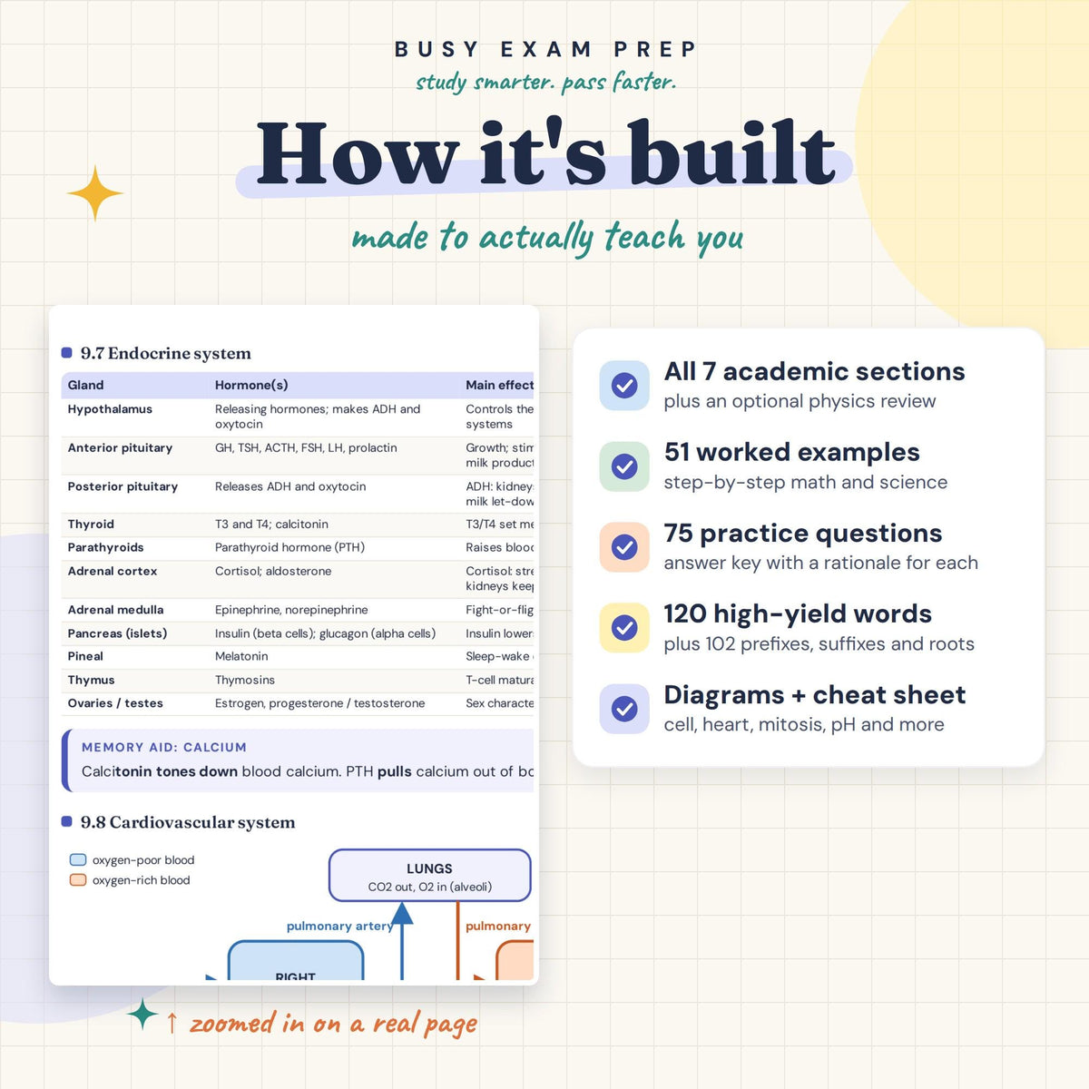 HESI A2 Study Guide. Worked examples, vocabulary, diagrams and the included quick reference sheet.