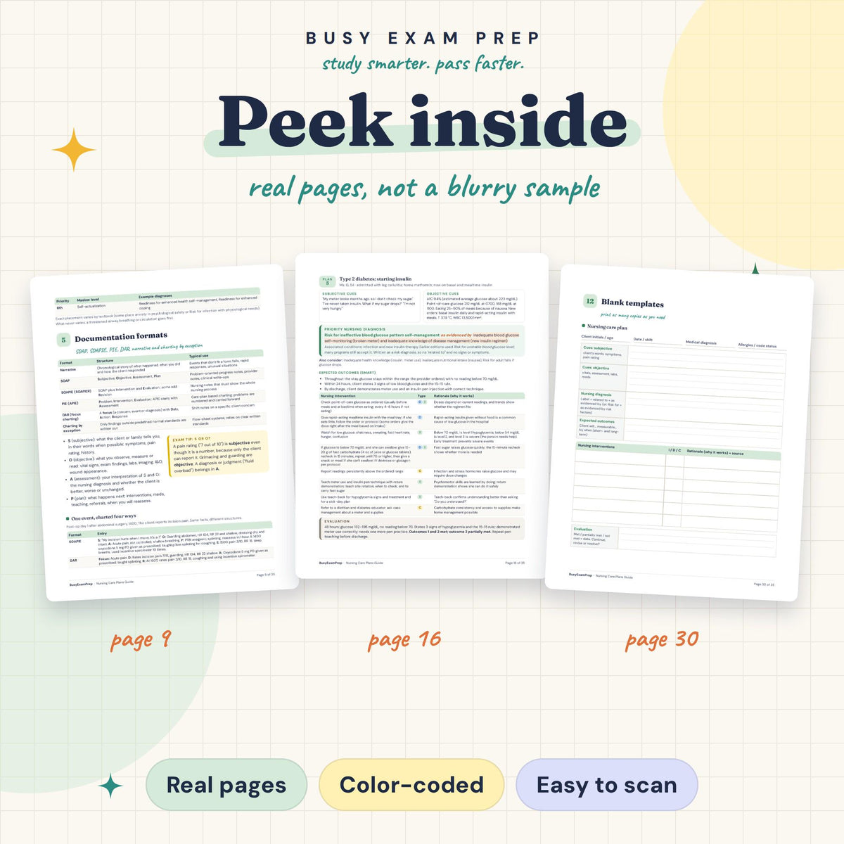 Care Plan Examples for Nursing Students existing interior previews