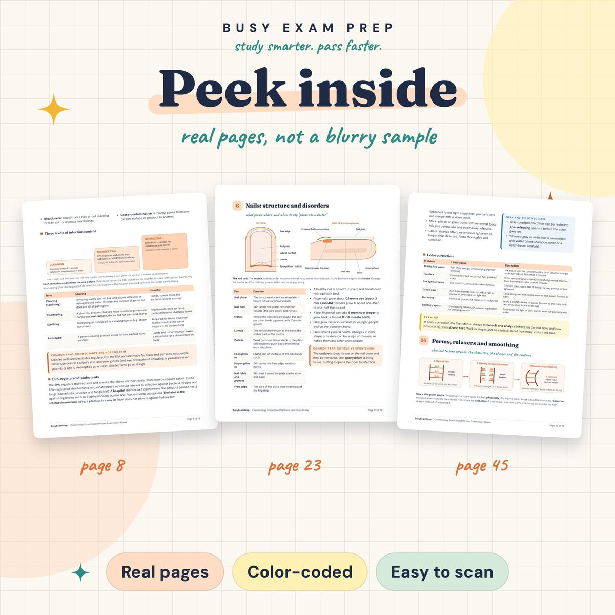 NIC Cosmetology State Board Exam Study Guide existing interior previews
