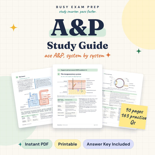 A&P Study Guide for Nursing Students digital cover, 90 pages