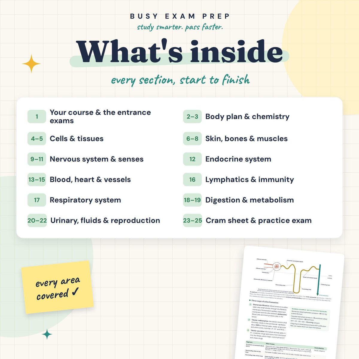 A&P Study Guide for Nursing Students topic overview