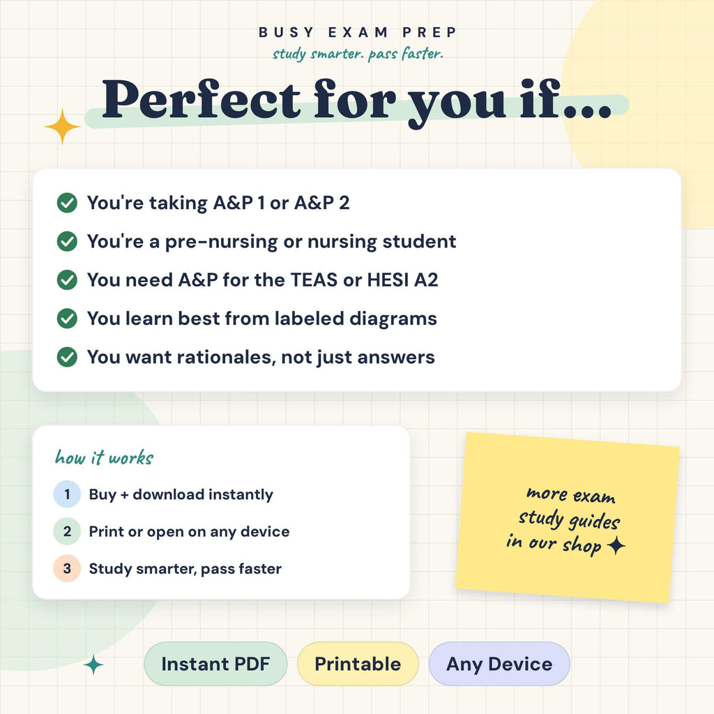 A&P Study Guide for Nursing Students audience and PDF format