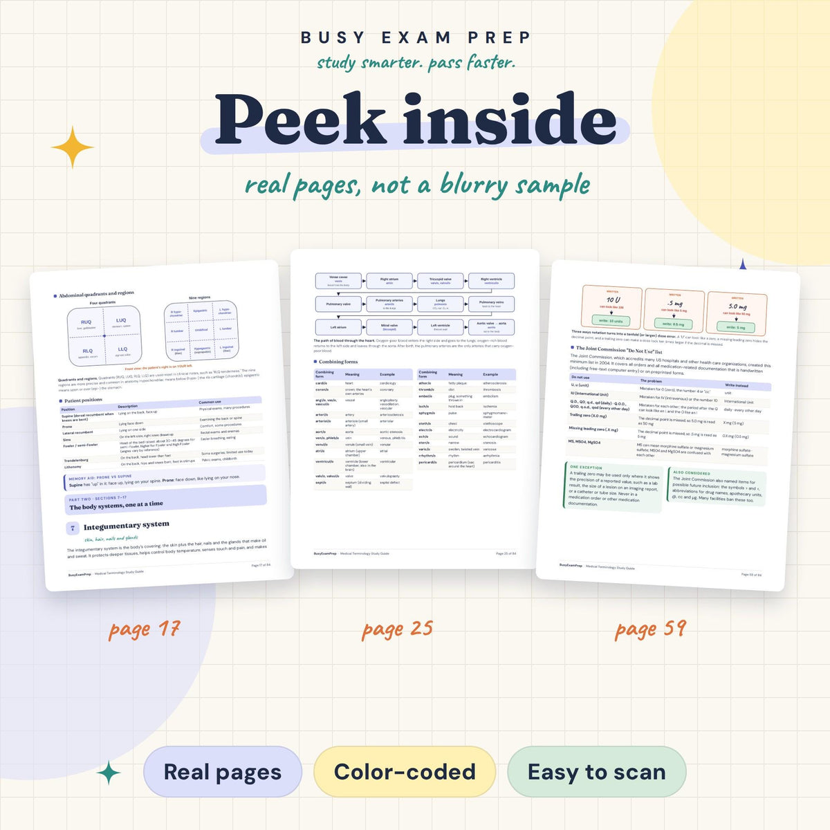 Medical Terminology Study Guide for Nursing Students existing interior previews