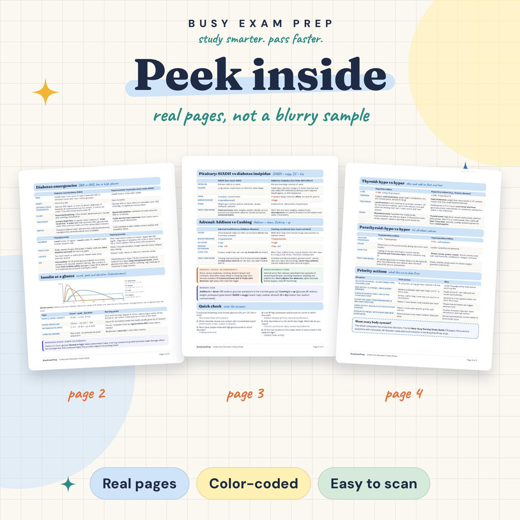 Endocrine Disorders Cheat Sheet existing interior preview