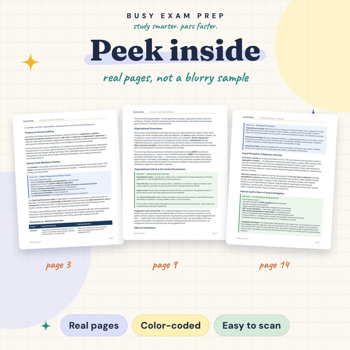 CIA Part 1 Study Guide actual PDF page previews.