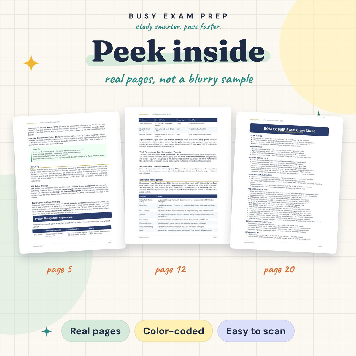 PMP guide real page previews