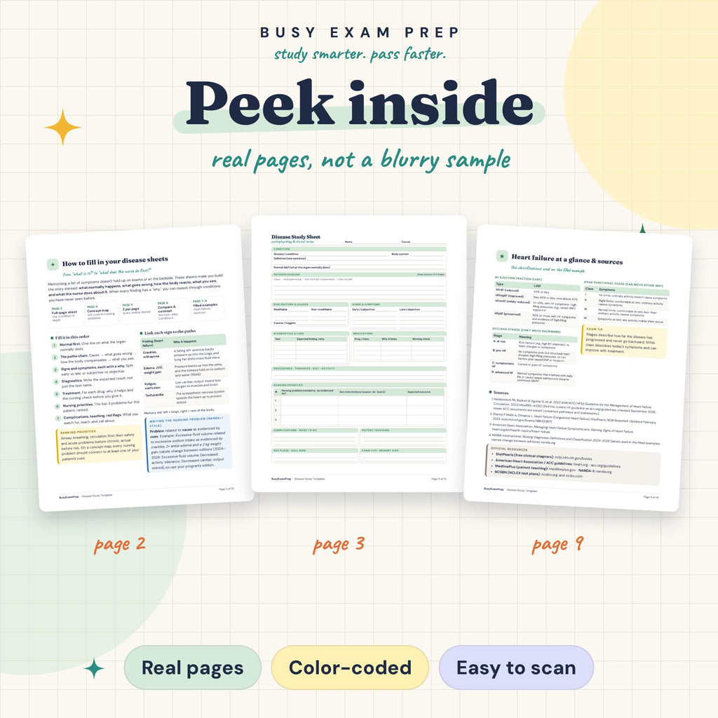 Nursing Pathophysiology Study Template existing interior previews