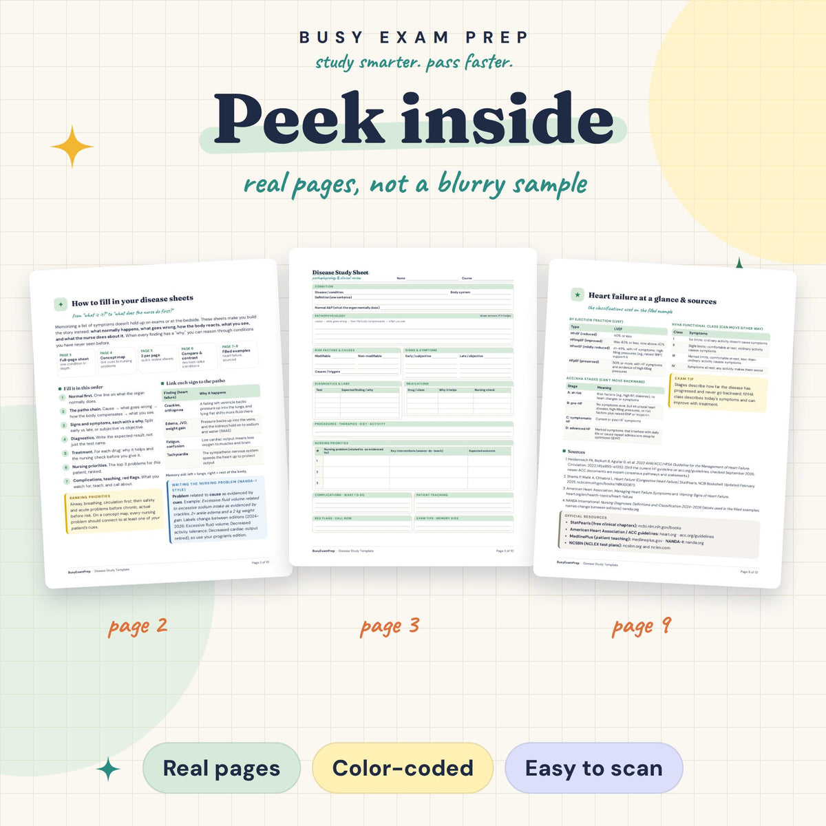 Nursing Pathophysiology Study Template existing interior previews