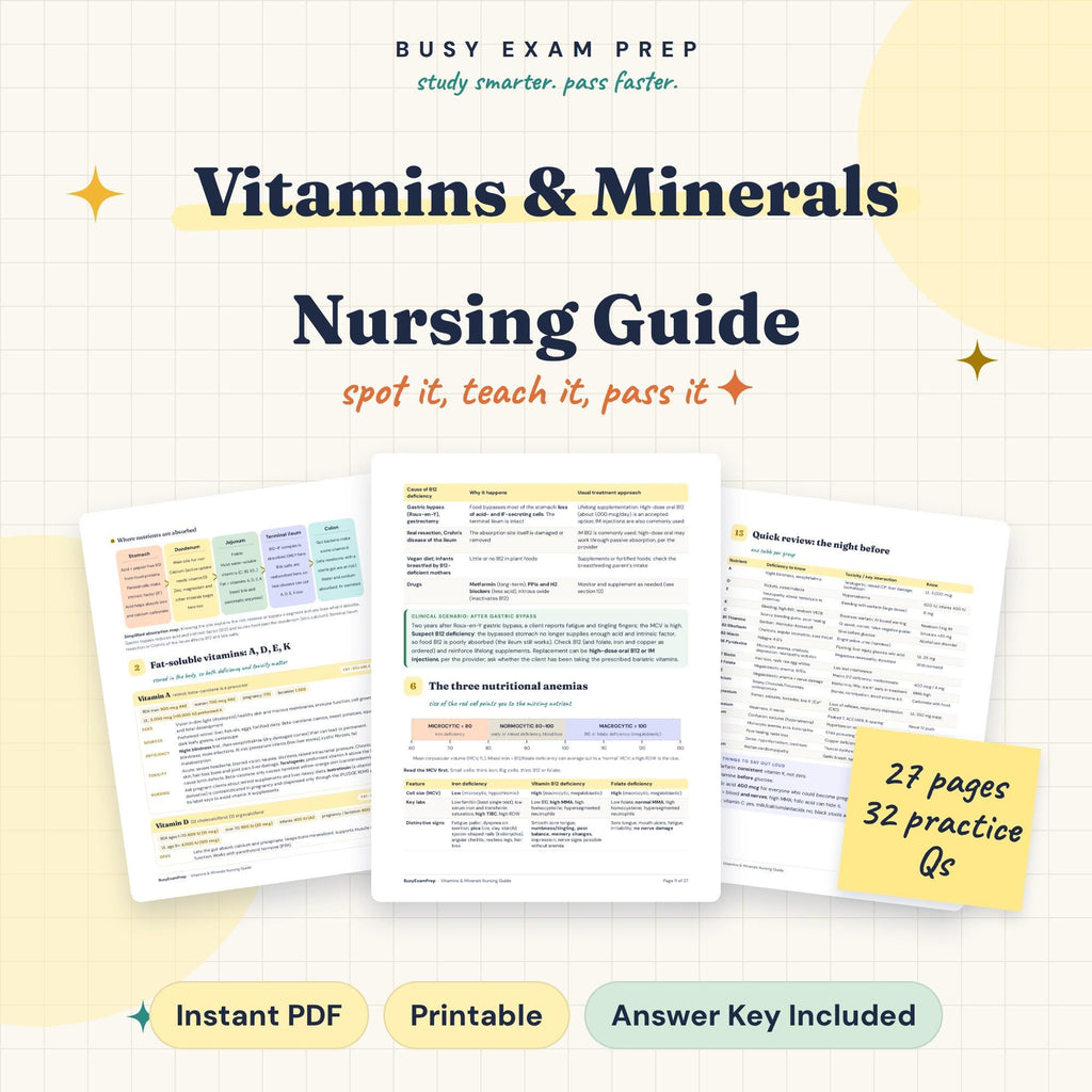 Vitamins and Minerals Nursing Guide digital cover