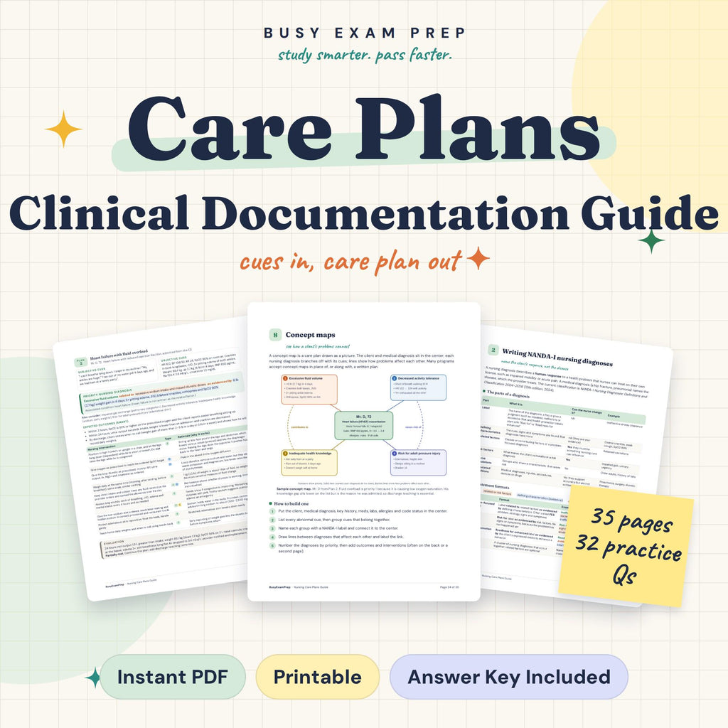 Care Plan Examples for Nursing Students digital cover