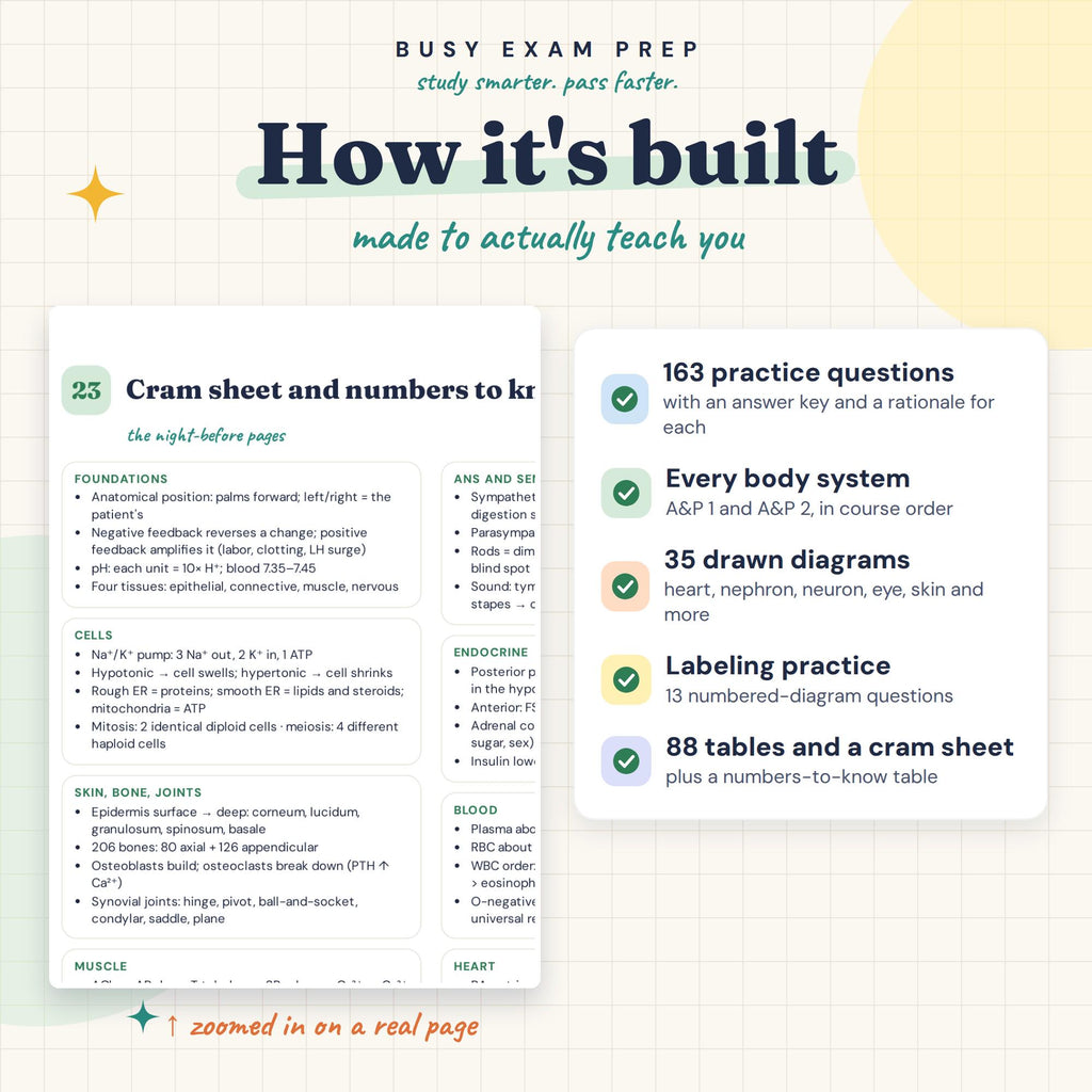 A&P Study Guide for Nursing Students study features