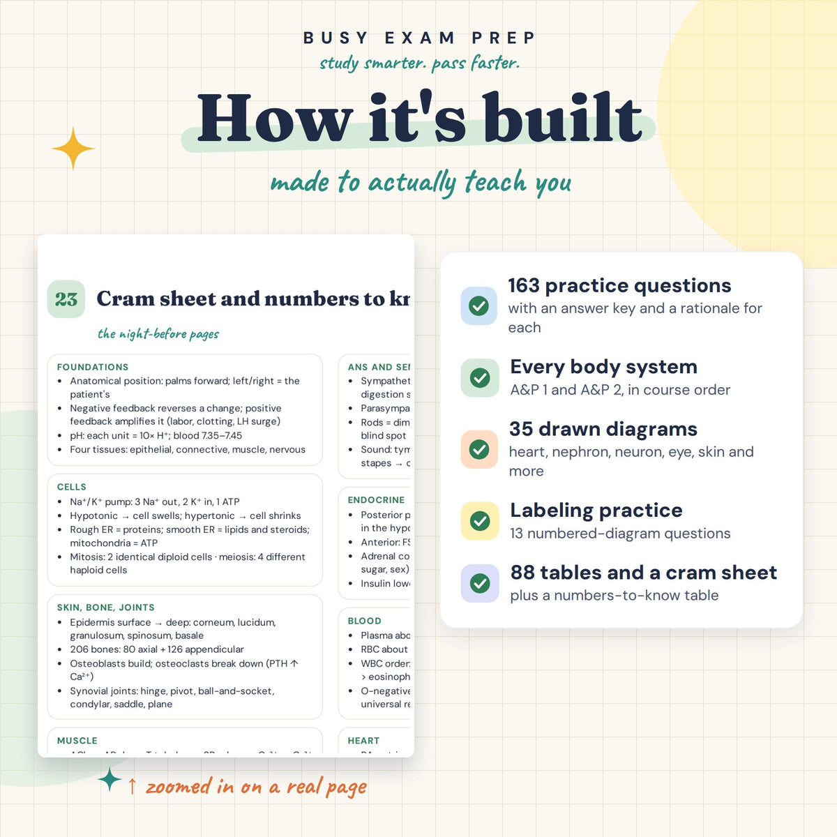 A&P Study Guide for Nursing Students study features