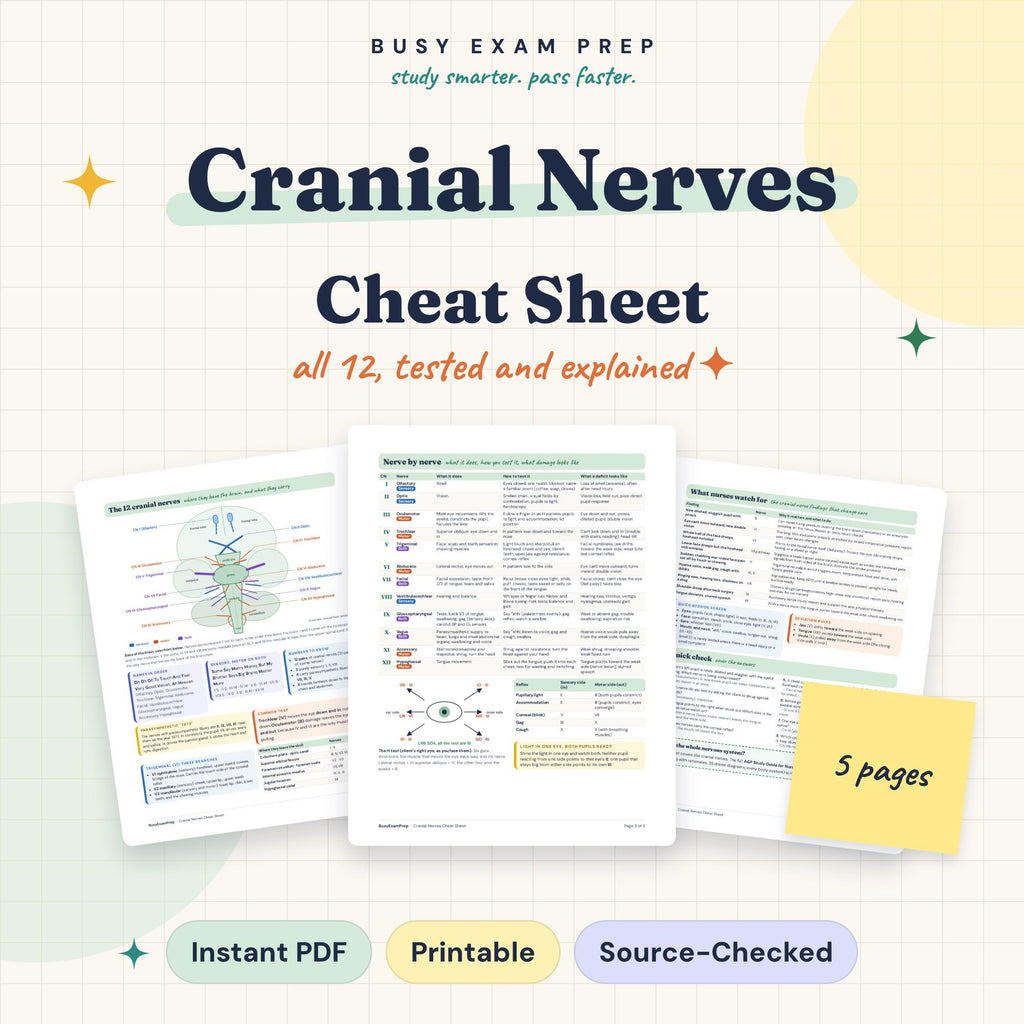 Cranial Nerves Cheat Sheet for Nursing Students digital cover