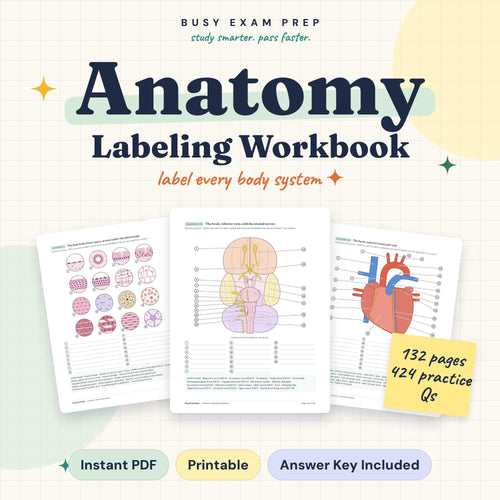 Anatomy Labeling Workbook for Nursing Students digital cover