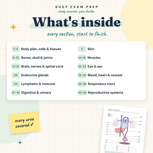 Anatomy Labeling Workbook for Nursing Students included contents overview