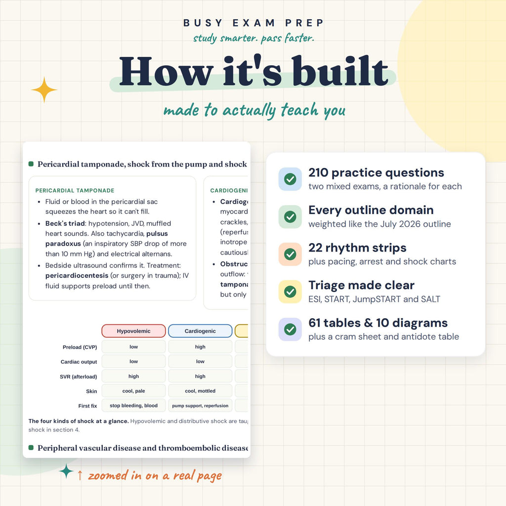 CEN Exam Study Guide — preview 3
