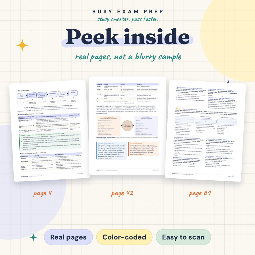 Pathophysiology Nursing Study Guide. Actual study-page previews from the digital guide.