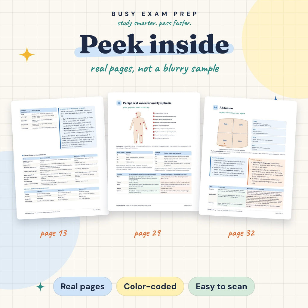 Head-to-Toe Nursing Assessment Study Guide existing interior previews