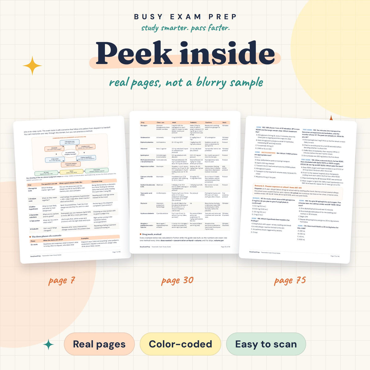 Paramedic Exam Study Guide: sample interior pages