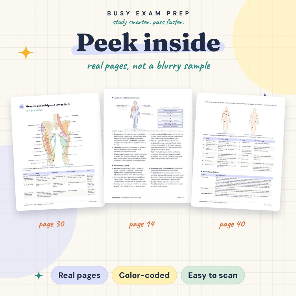 MBLEx Massage Therapy Exam Study Guide existing interior previews
