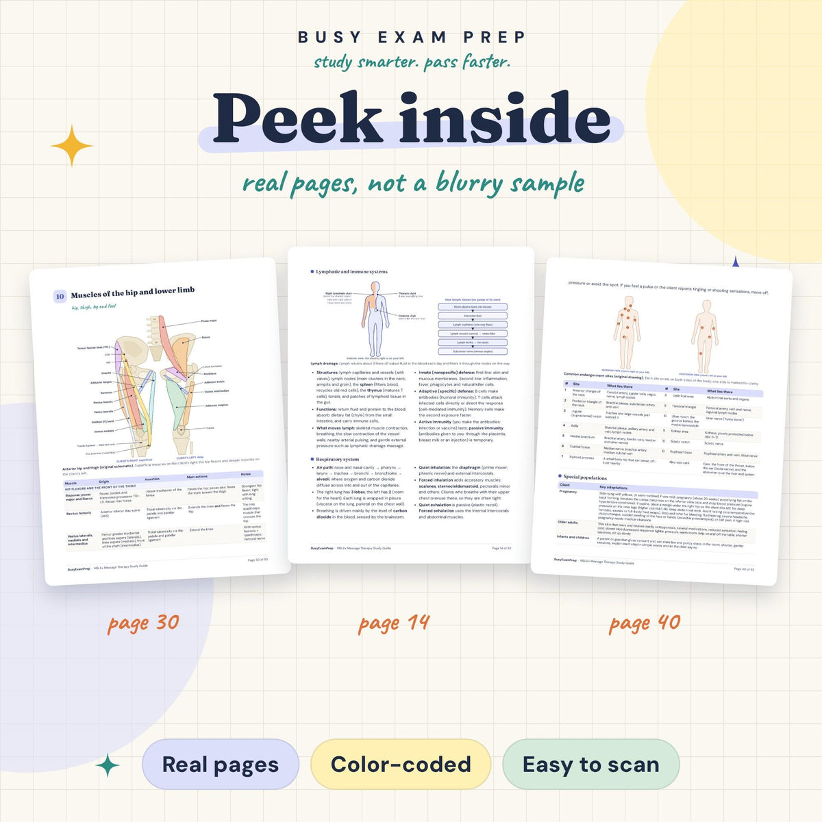 MBLEx Massage Therapy Exam Study Guide existing interior previews