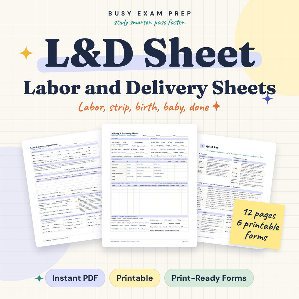Labor and Delivery Nurse Report Sheet digital cover
