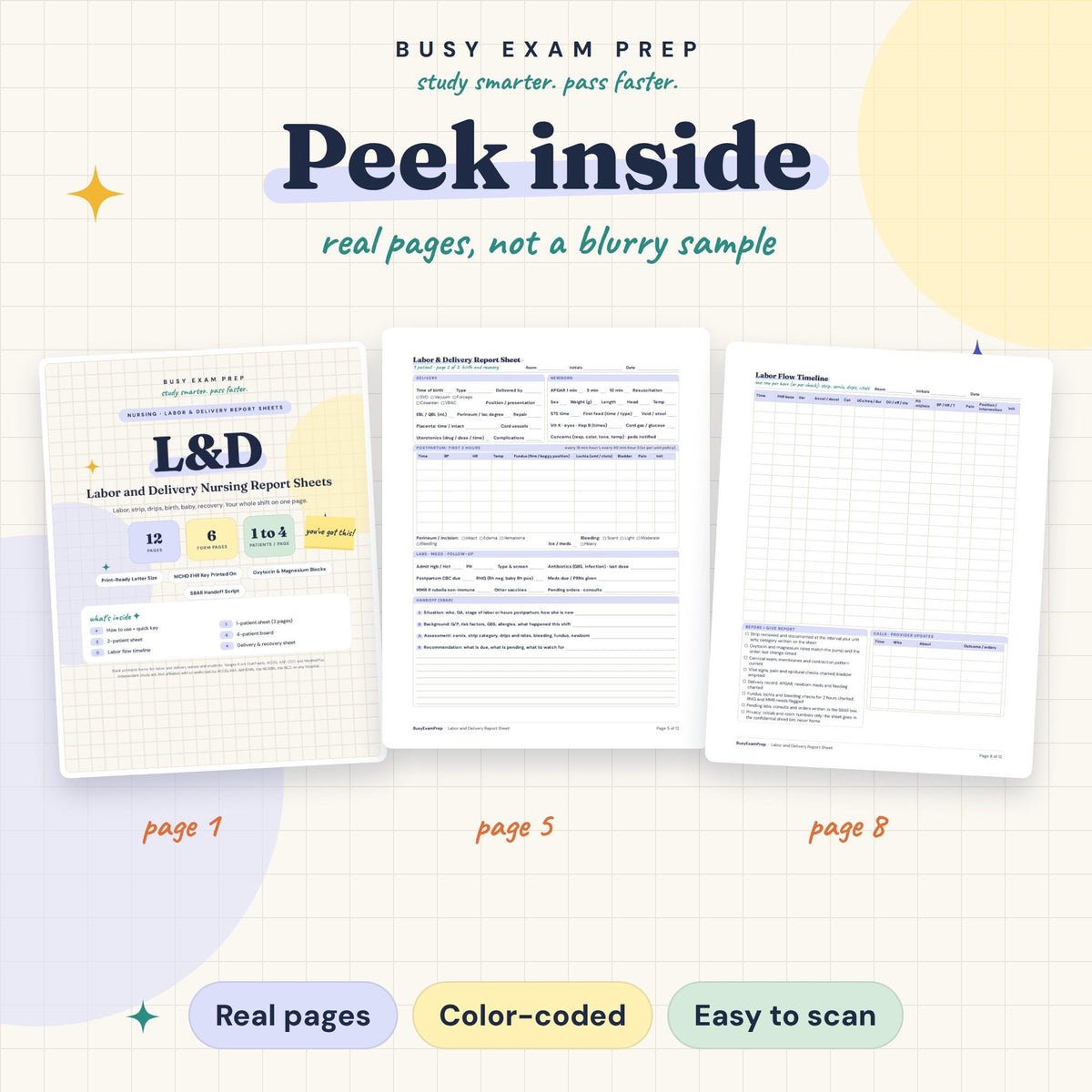 Labor and Delivery Nurse Report Sheet existing interior previews